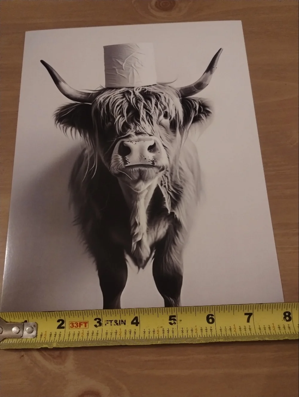 Black White Highland Cow Wall Art Print Farmhouse Decor Rustic Western 8x10 Stoc